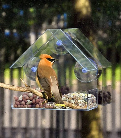 AUM® Raamvoederhuis – 2 Stuks – Vogelvoederhuisje voor Kleine Vogels - Raam Vogelhuisje - Transparant - Met Zuignappen - Voederplek