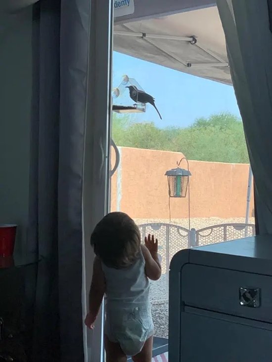 AUM® Raamvoederhuis – 2 Stuks – Vogelvoederhuisje voor Kleine Vogels - Raam Vogelhuisje - Transparant - Met Zuignappen - Voederplek