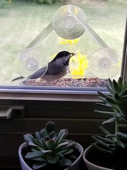 AUM® Raamvoederhuis – 2 Stuks – Vogelvoederhuisje voor Kleine Vogels - Raam Vogelhuisje - Transparant - Met Zuignappen - Voederplek